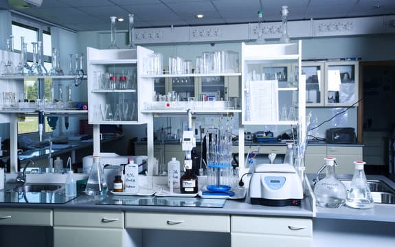 Labs